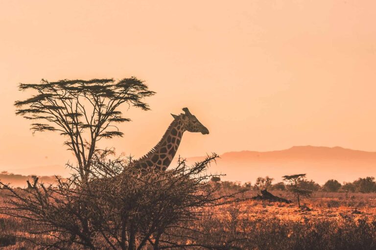 15 شهر شگفت انگیز و زیبا از سراسر جهان